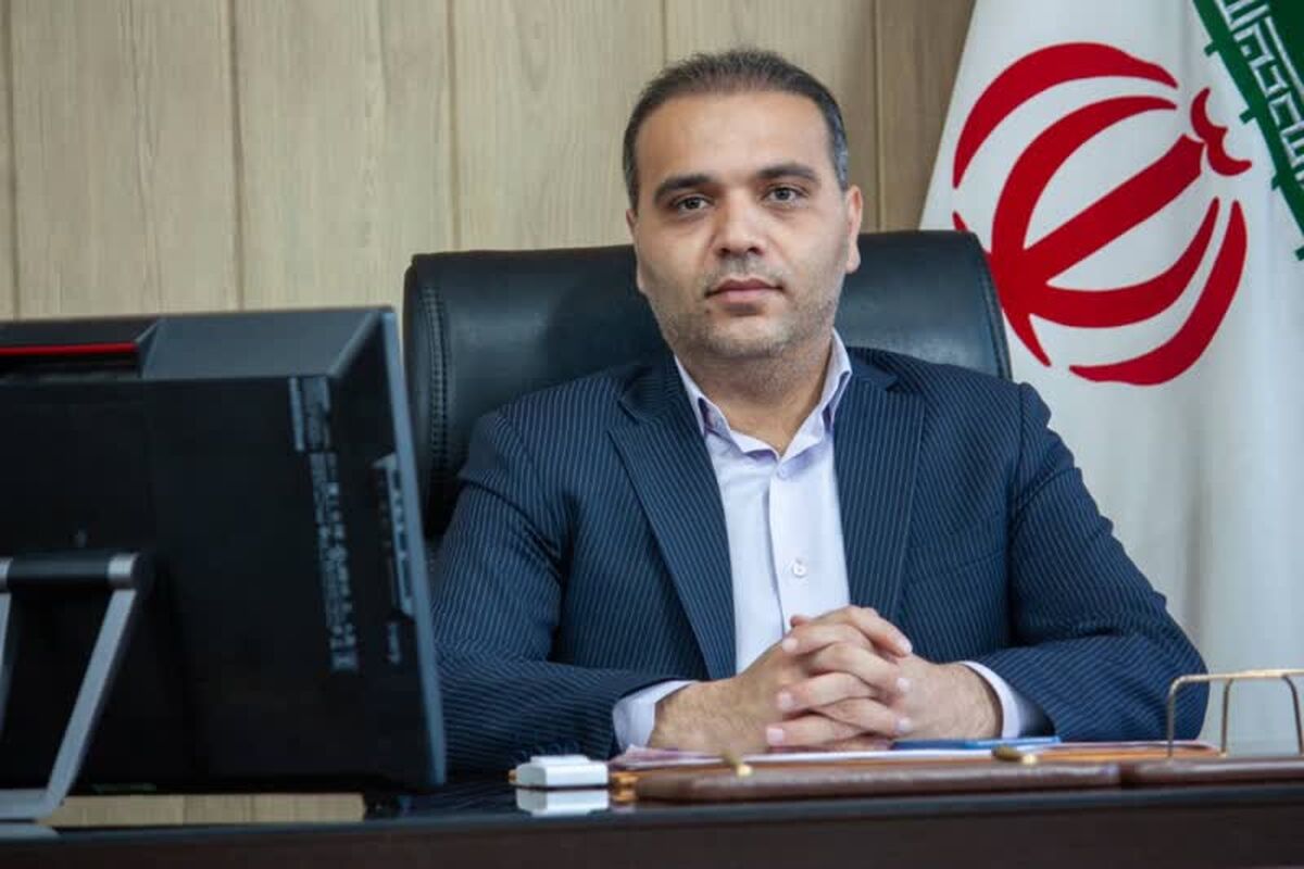 شیلات