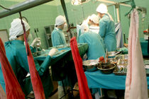 دانشگاه علوم پزشکی مشهد، قطب اهدای عضو در شرق و شمال شرق 