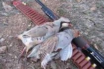 متخلفین شکار و صید در کاشان دستگیر شدند