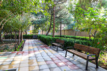 علت تعطیلی پارک لاله تهران اعلام شد