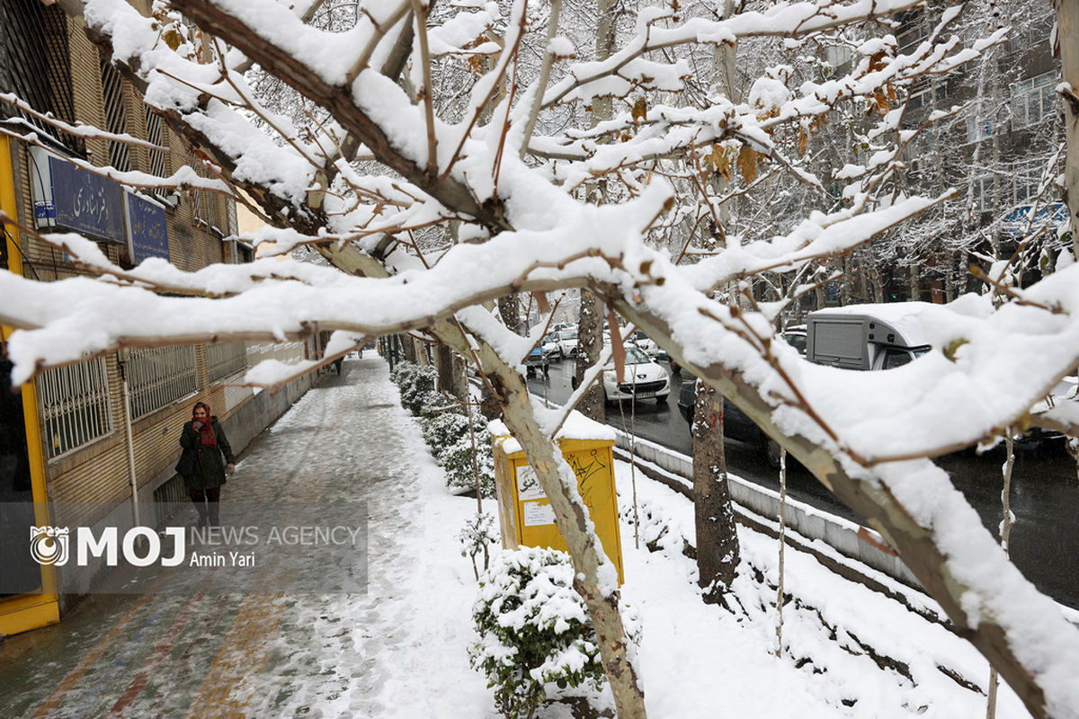 بارش برف در تهران - ۳۰ دی ۱۴۰۴