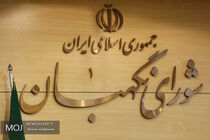 تعداد ۷۰۳ مورد گزارش مردمی از تخلفات انتخاباتی در سامانه مردم ناظر ثبت شد