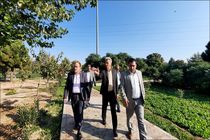 بـازدید شهردار نجف آباد از پروژه هـای شـاخص و محلـه محـور مناطق پنجگانه