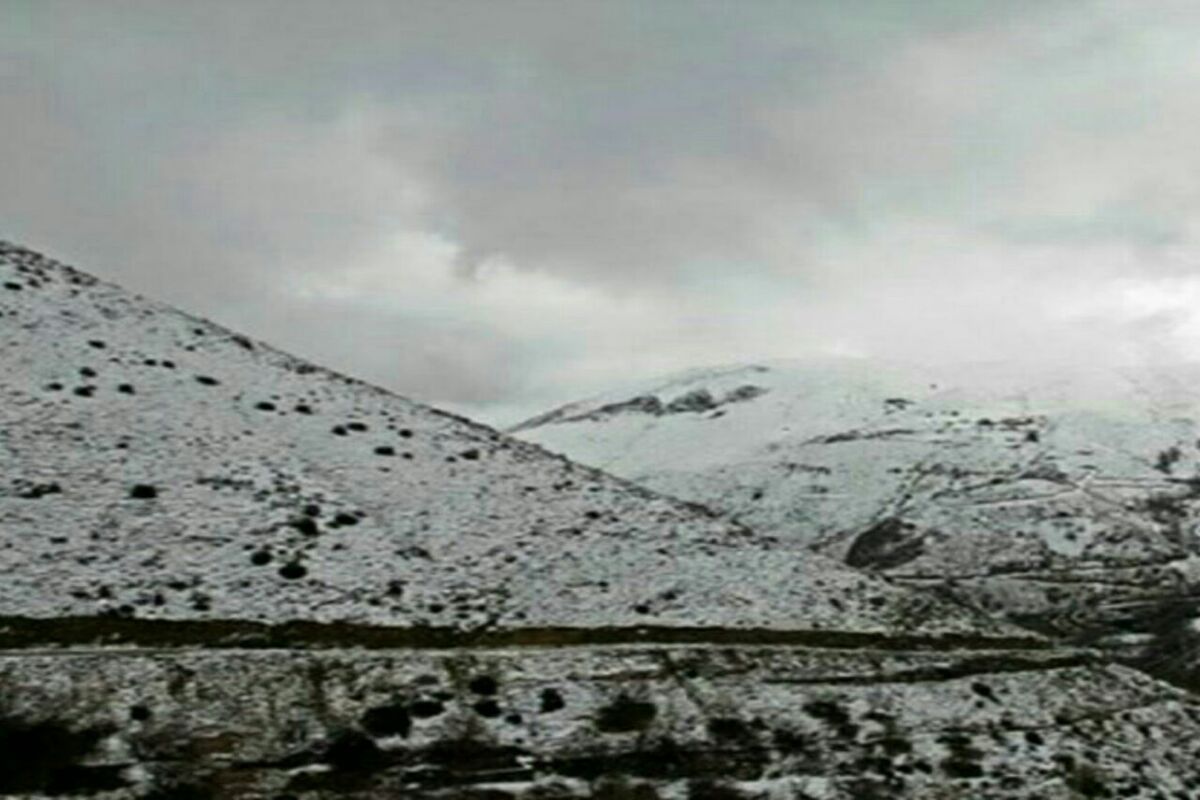 بارش برف
