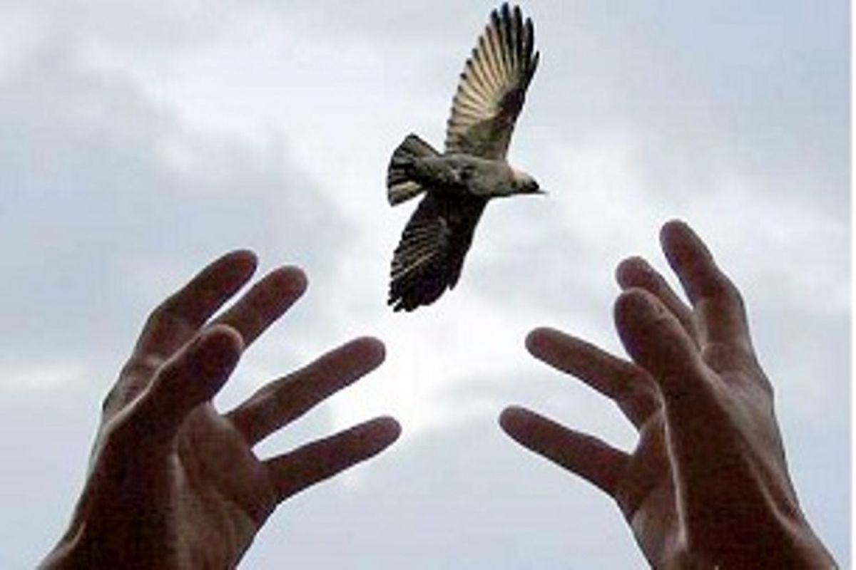 نجات نوجوان 14 ساله از قصاص