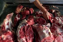 بازرسی از مراکز توزیع کالای اساسی در هرمزگان/ هشت تخلف گرانفروشی کشف شد