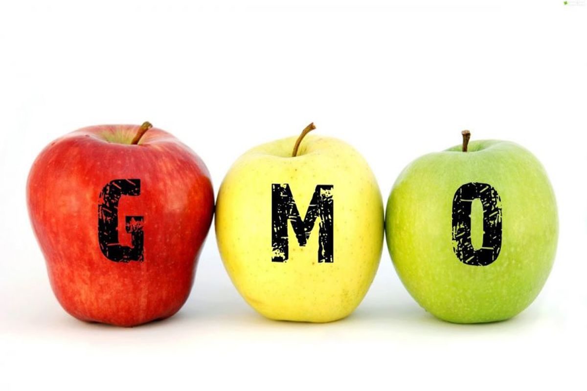 محصولات تراریخته