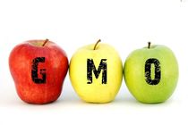 جلوگیری از یک فاجعه انسانی با حذف محصولات تراریخته/فاجعه بزرگ هنوز دیده نشده است