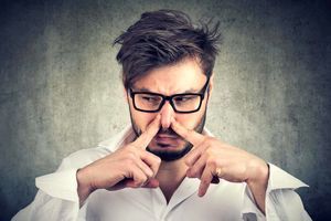 4 دامداری، از اصلی ترین منابع  بوی بد تهران هستند!/ ارسال پرونده این دامداری ها با مراجع قضایی