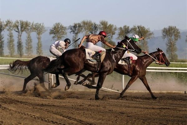 محمود حیدری به ریاست فدراسیون سوارکاری انتخاب شد
