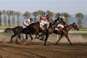محمود حیدری به ریاست فدراسیون سوارکاری انتخاب شد