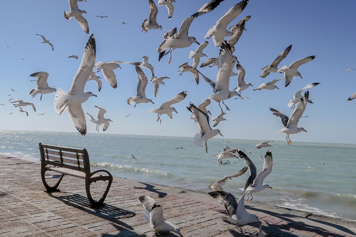 دریای آرام