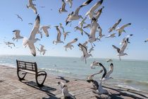 آرامش بر وضعیت جوی و دریایی هرمزگان حکم فرماست