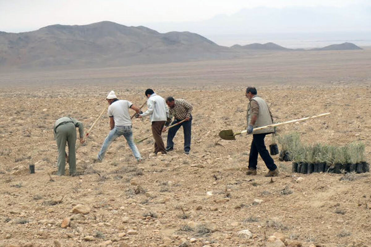بیابان زدایی