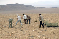 تخصیص اعتبارات مقابله با گردوغبار در آران و بیدگل صفر است