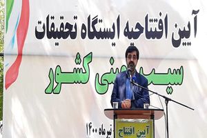 ظرفیت صنایع تبدیلی برای سیب زمینی به ۴۰۰ هزار تن می رسد