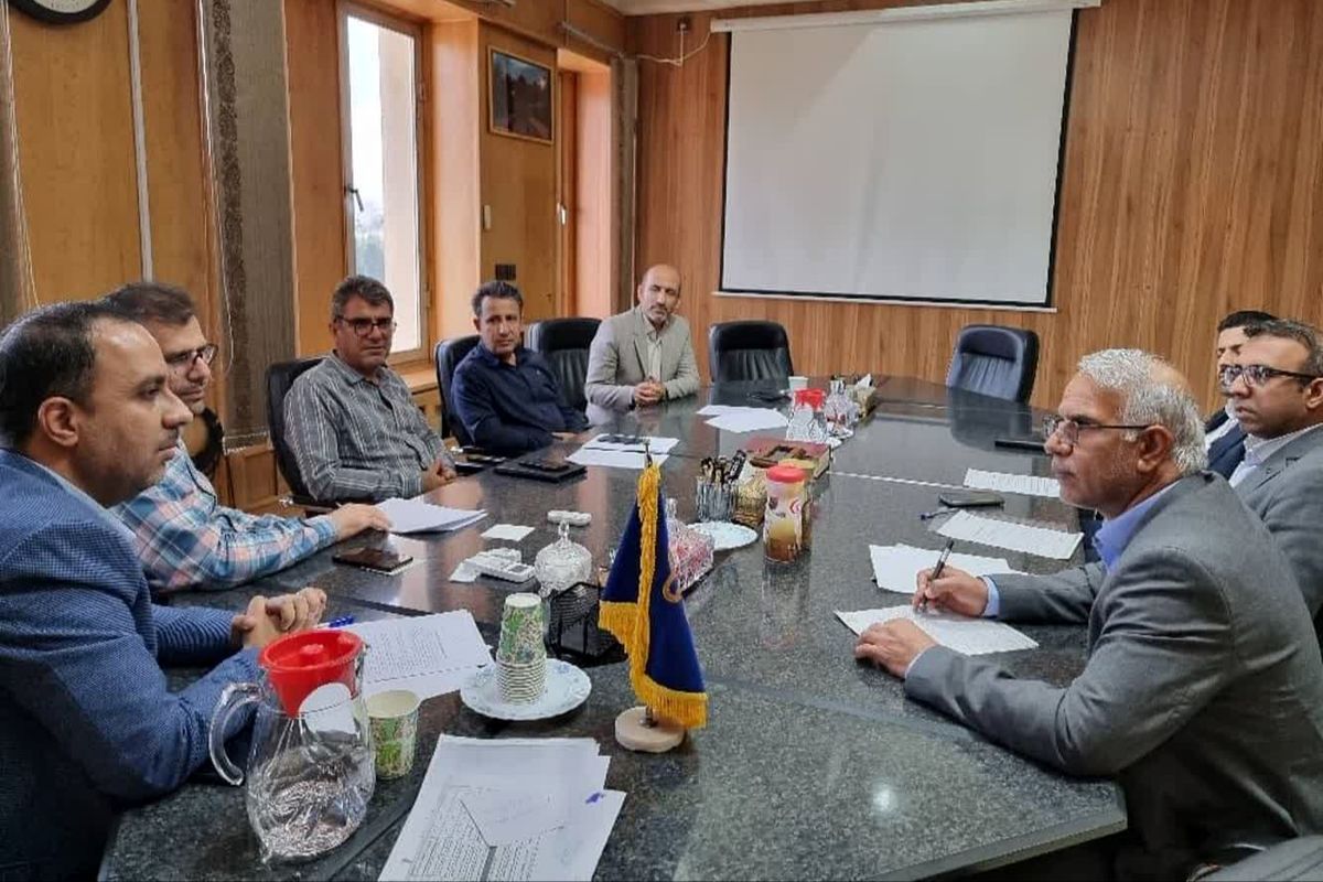 دانشگاه شیراز 