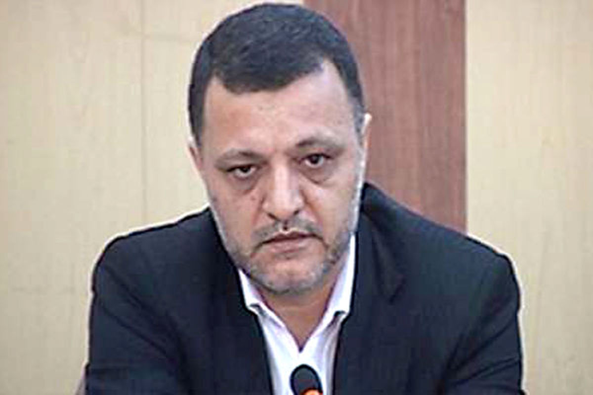 معاون برنامه ریزی و امور اقتصادی وزیر نیرو 