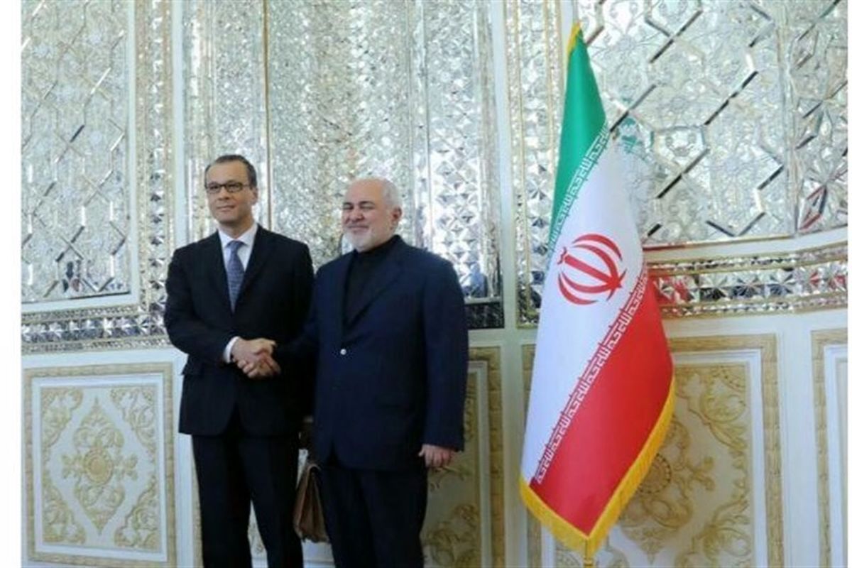 دیدار مدیرکل موقت آژانس با ظریف