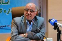 بهره مندی 100 درصدی مردم روستاهای استان از خدمات بیمه