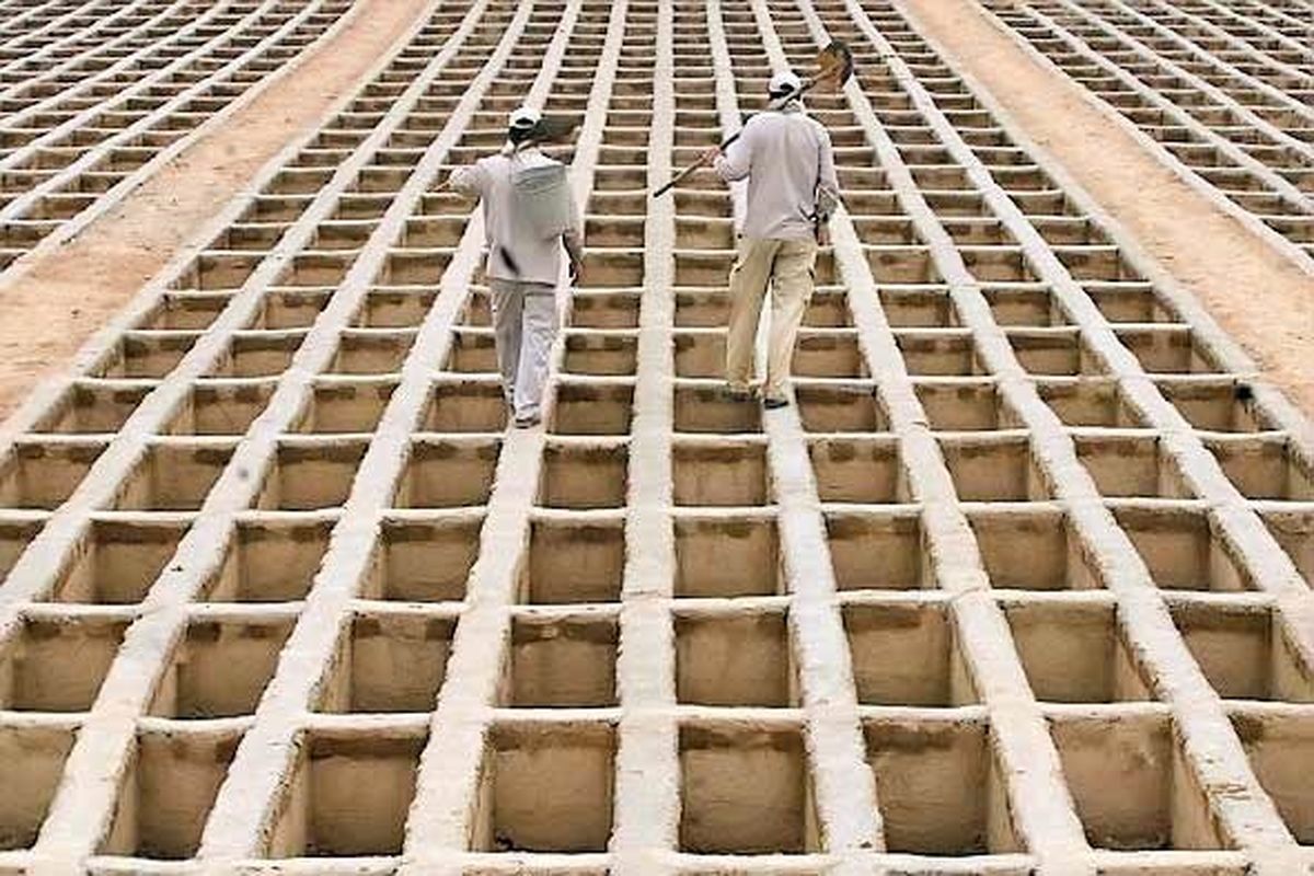 قبرستان فوتی بهشت زهرا 