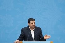 Iran quite determined to support Resistance