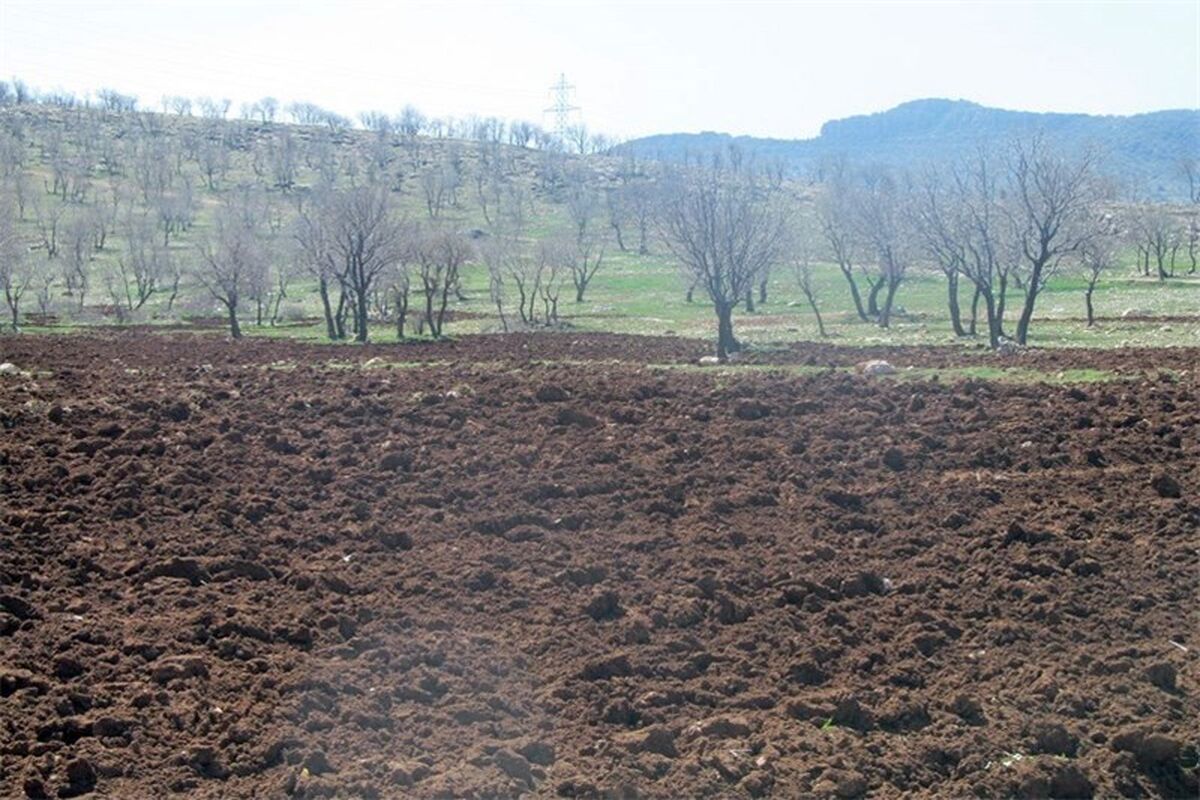تخریب انسانی منابع طبیعی در استان گلستان