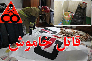 مرگ یک نوجوان 17 ساله در اثر گازگرفتگی  در سمیرم