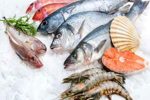 ارزش صادرات آبزیان کشور به رشد ۶ درصدی رسید