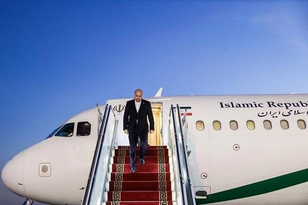 رئیس مجلس شورای اسلامی وارد کراچی شد