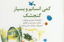 مجموعه دوبیتی‌های سیدحبیب نظاری منتشر شد