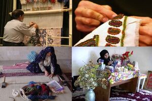 ۳۴۰ تعاونی کارآفرینی در تهران فعالیت می‌کنند