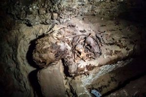 احتمال شناسایی اجساد مومیایی شده از سوی پزشکی قانونی وجود دارد