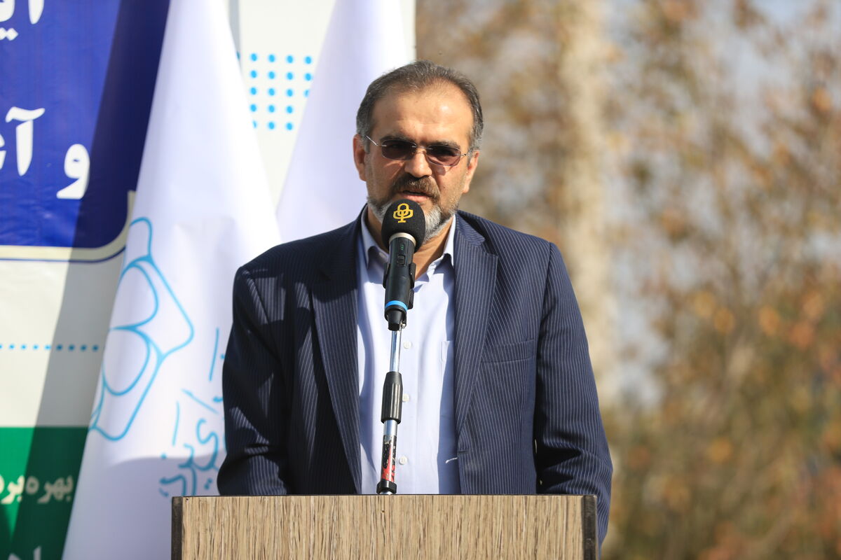 نقوی