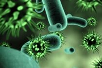 برگزاری هجدهمین کنگره بین المللی میکروب شناسی در سالن ابن سینا
