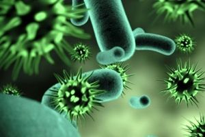 برگزاری هجدهمین کنگره بین المللی میکروب شناسی در سالن ابن سینا