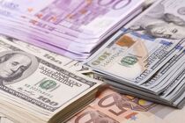 کارت بازرگانی اجاره‌ای از عدم ایفای تعهدات ارزی صادراتی ۳۵ درصد سهم دارند