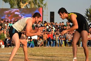 مراسم آیینی و سنتی کشتی لوچو در دشت سر آمل برگزار شد