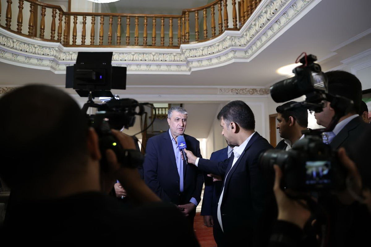 رئیس سازمان انرژی اتمی