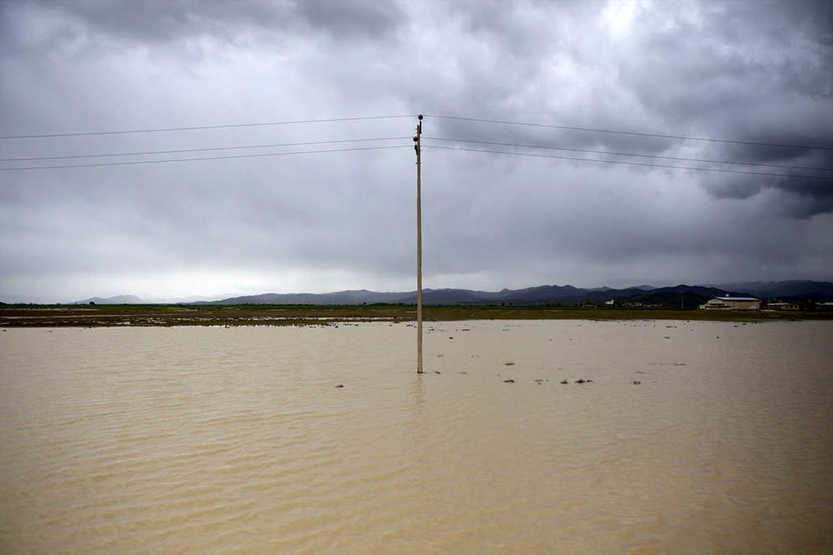 سیل 