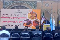 سالانه هزار و ۵۰۰ تن عسل در ایلام تولید می‌شود