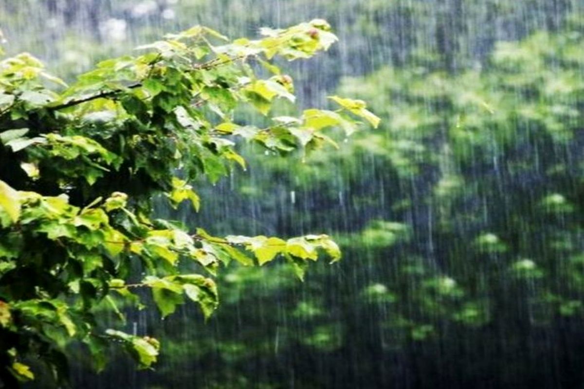 سامانه بارشی