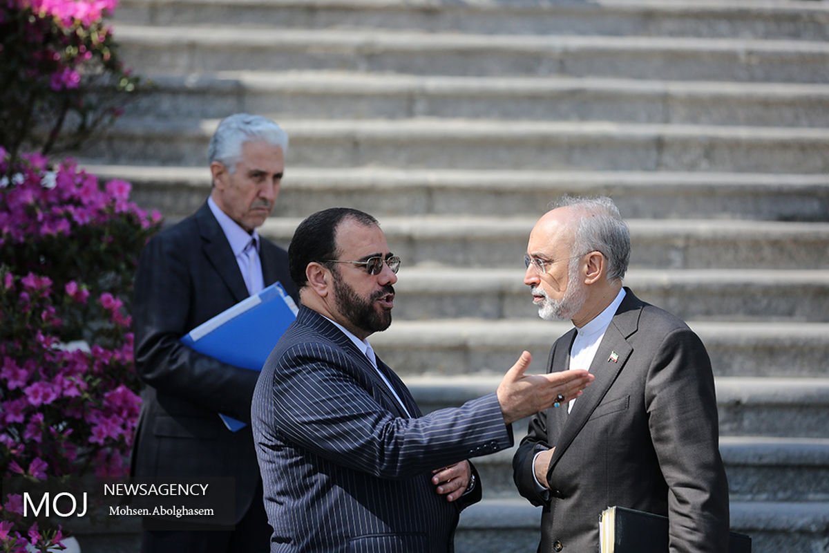 آخرین جلسه هیات دولت در سال96