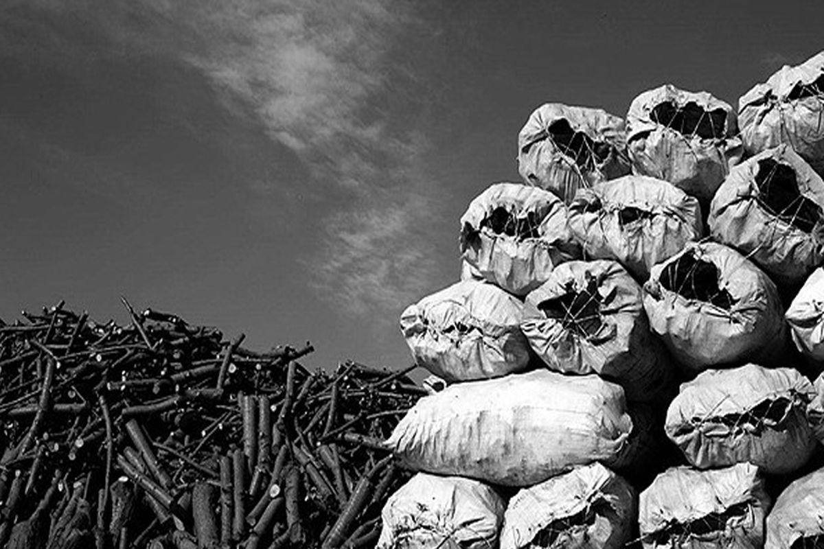 کارگاه-زغال