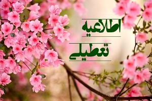 تصمیم‌گیری در خصوص تعطیلی مدارس با وزارت بهداشت است