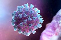 7 ابتلای جدید به ویروس کرونا در شبانه روز گذشته در اردستان