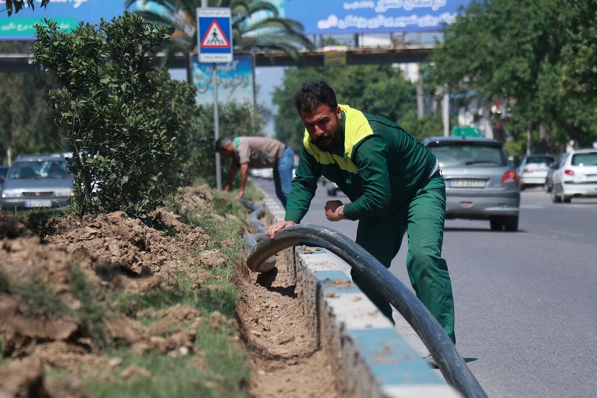 شهرداری ساری