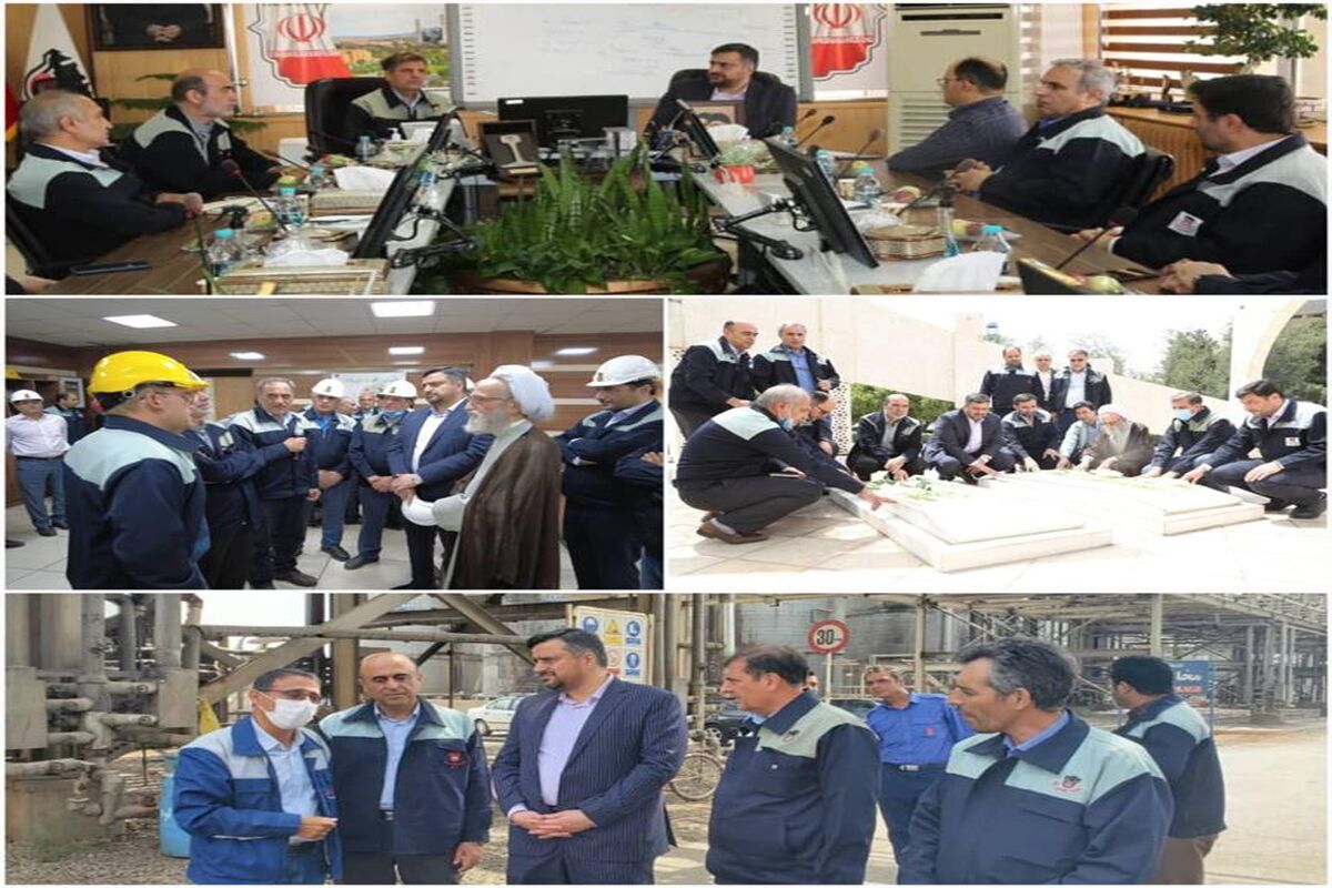 مدیرعامل صدر تامین
