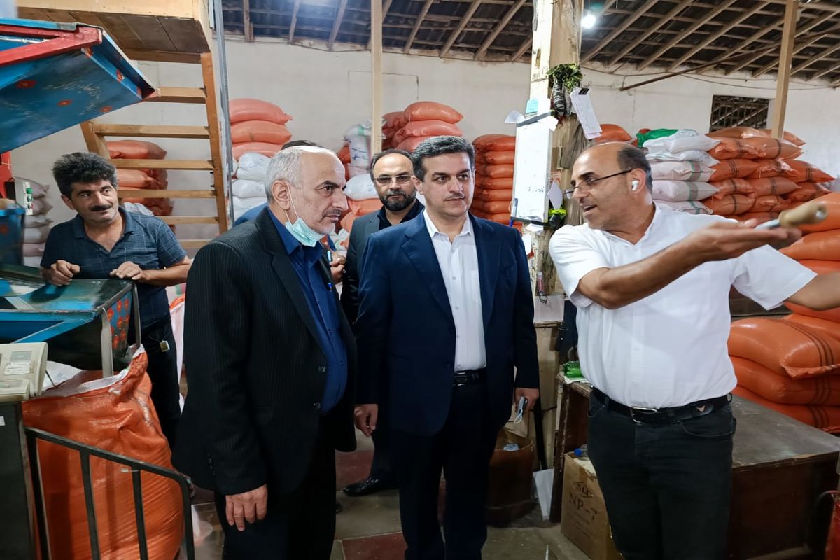 تیمور پورحیدری