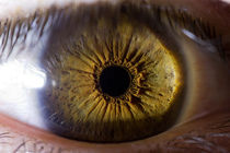 بینایی فوق العاده ای که این زن دارد